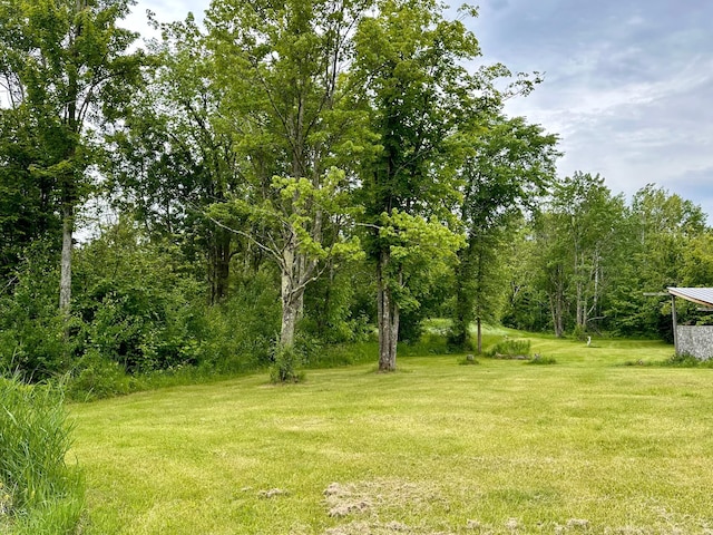 4984 Tower Rd, Moose Lake, MN 55767 - view of green lawn
