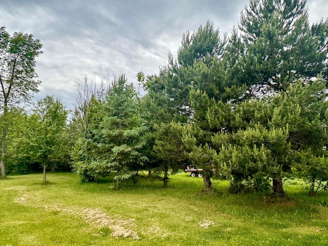 4984 Tower Rd, Moose Lake, MN 55767 - view of green lawn