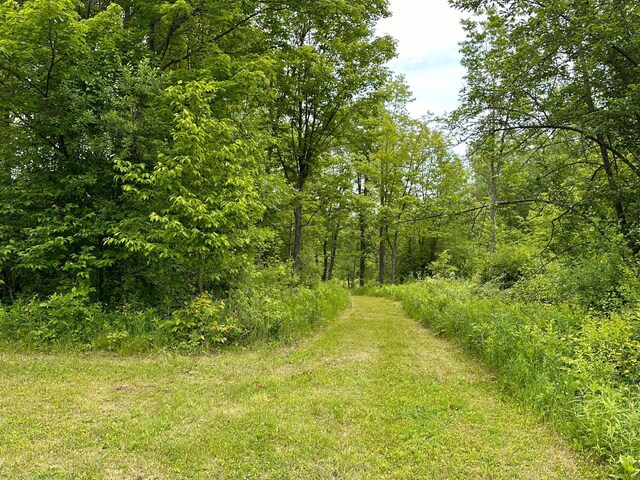 4984 Tower Rd, Moose Lake, MN 55767 - view of woods