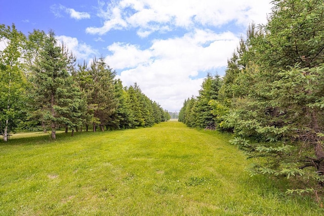 4984 Tower Rd, Moose Lake, MN 55767 - view of green lawn
