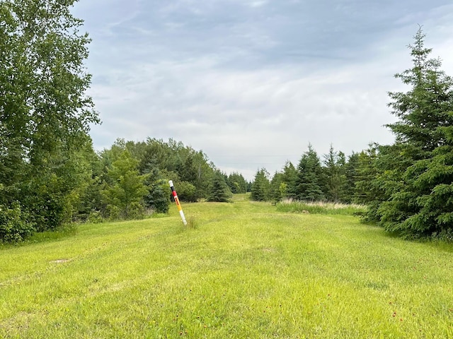 4984 Tower Rd, Moose Lake, MN 55767 - view of yard featuring a forest view