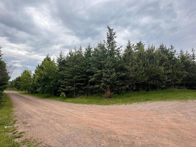 4984 Tower Rd, Moose Lake, MN 55767 - view of dirt / gravel road