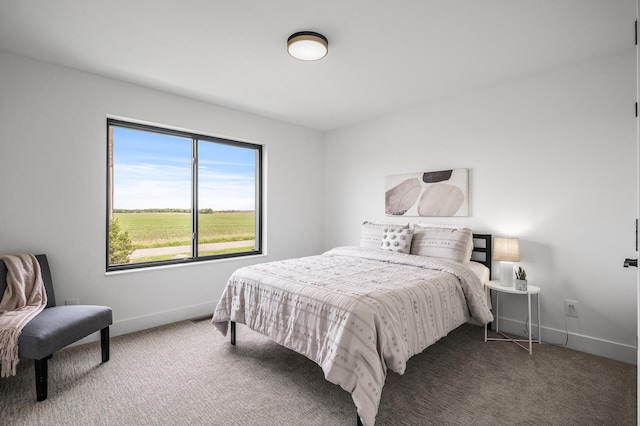 9930 14th Cir NE, Saint Michael, MN 55376 - bedroom featuring carpet and baseboards