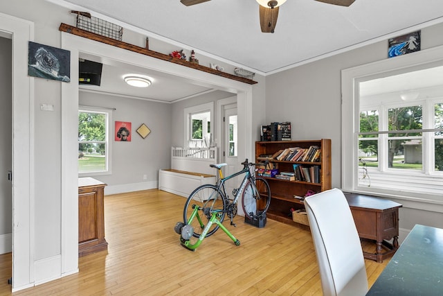 213 2nd St NE, Grand Meadow, MN 55936 - office with a ceiling fan, light wood-style flooring, and ornamental molding