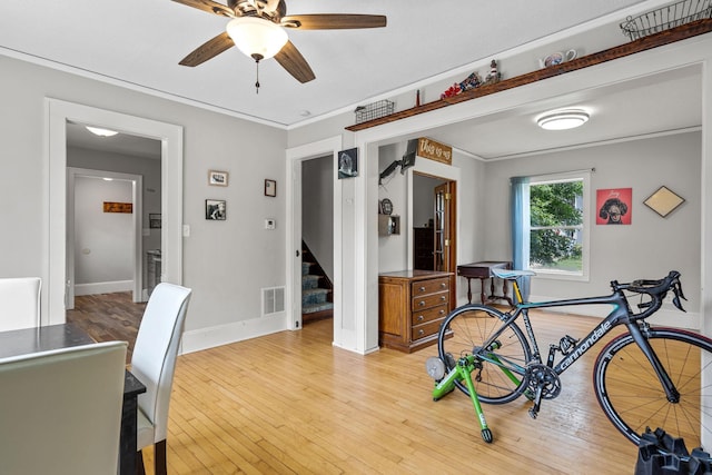 213 2nd St NE, Grand Meadow, MN 55936 - workout room with a ceiling fan, light wood-style flooring, and crown molding