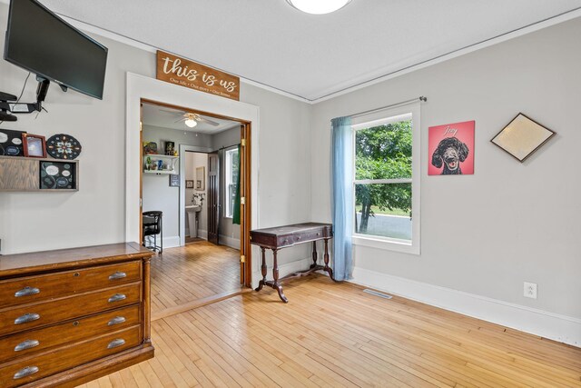 213 2nd St NE, Grand Meadow, MN 55936 - empty room featuring light wood-style flooring, ornamental molding, and a ceiling fan