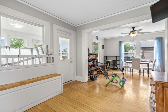 213 2nd St NE, Grand Meadow, MN 55936 - interior space with crown molding, ceiling fan, and light wood finished floors