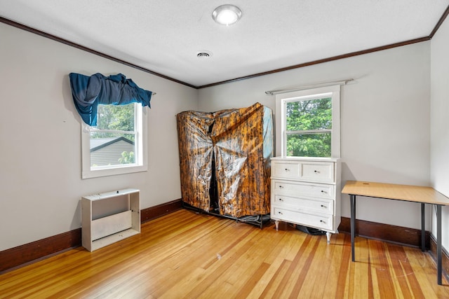 213 2nd St NE, Grand Meadow, MN 55936 - spare room with plenty of natural light, light wood-style floors, crown molding, and a textured ceiling