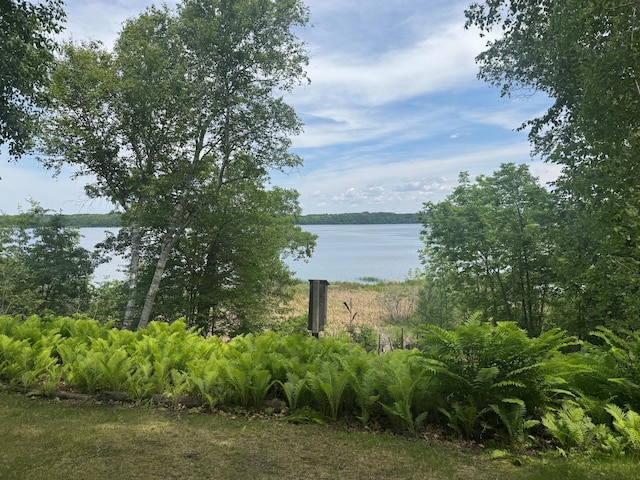 1707 Crosby Ct SE Unit 10, Ten Lake Twp, MN 56601 - photo 5