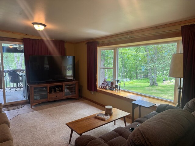 1707 Crosby Ct SE Unit 10, Ten Lake Twp, MN 56601 - photo 11