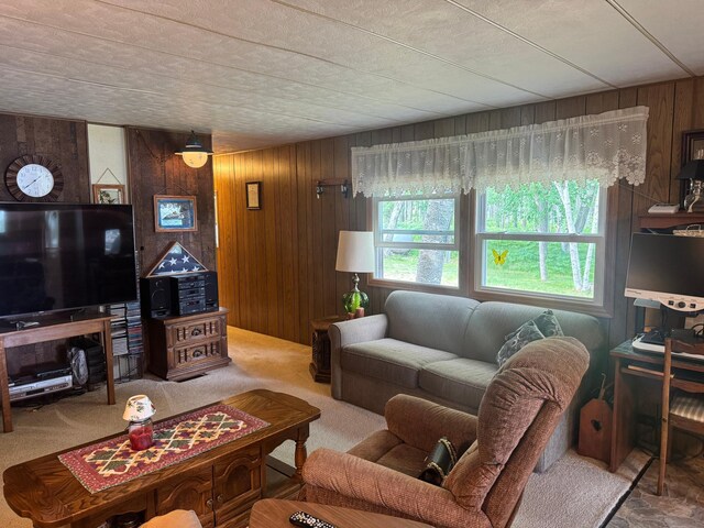 1707 Crosby Ct SE Unit 10, Ten Lake Twp, MN 56601 - photo 15