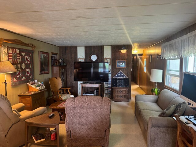 1707 Crosby Ct SE Unit 10, Ten Lake Twp, MN 56601 - photo 16