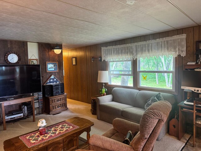 1707 Crosby Ct SE Unit 10, Ten Lake Twp, MN 56601 - photo 17