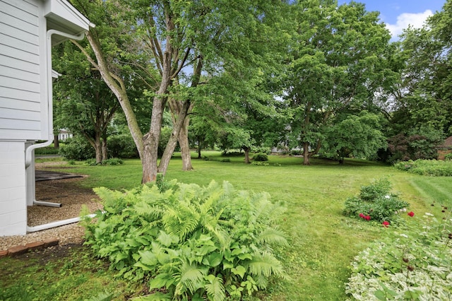 2022 Lake Rd, Minnetonka Beach, MN 55391 - view of green lawn with view of scattered trees