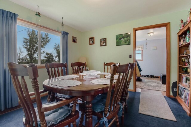 N2498 50th St, Union Twp, WI 54761 - dining area featuring carpet floors