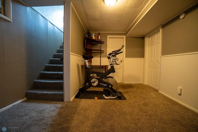 2901 10th Ave N, Fargo, ND 58102 - exercise area featuring carpet flooring