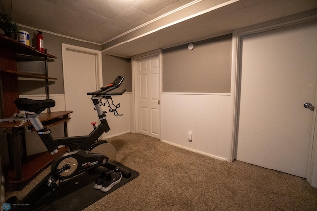 2901 10th Ave N, Fargo, ND 58102 - workout area with carpet
