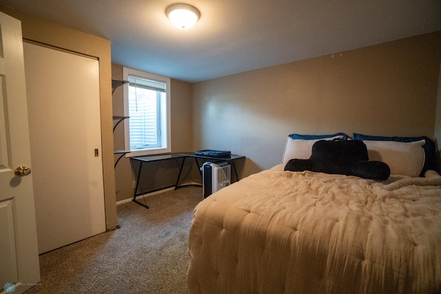 2901 10th Ave N, Fargo, ND 58102 - view of carpeted bedroom