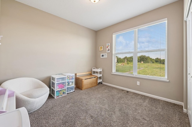 1615 Tamarack Rd, Shakopee, MN 55379 - photo 9