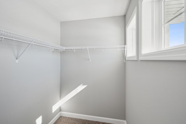2150 Koronis Cir, Lino Lakes, MN 55038 - walk in closet with carpet