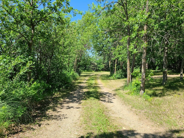 26373 Anna Lake Rd, Underwood, MN 56586