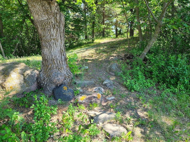 26373 Anna Lake Rd, Underwood, MN 56586