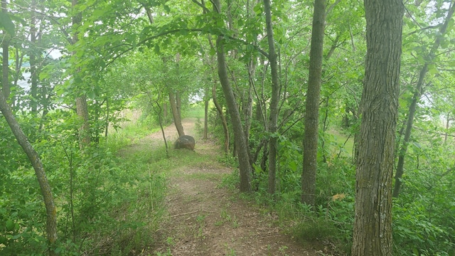26373 Anna Lake Rd, Underwood, MN 56586