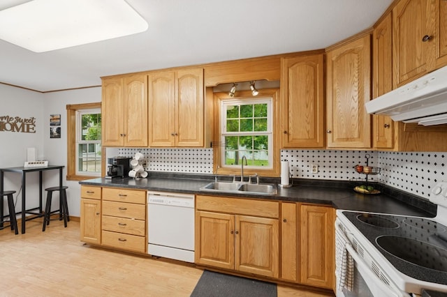 9372 71st St NE, Spicer, MN 56288 - kitchen with white appliances, under cabinet range hood, decorative backsplash, light wood-type flooring, and dark countertops