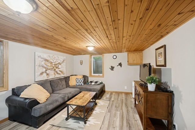9372 71st St NE, Spicer, MN 56288 - living room with wood ceiling and light wood finished floors