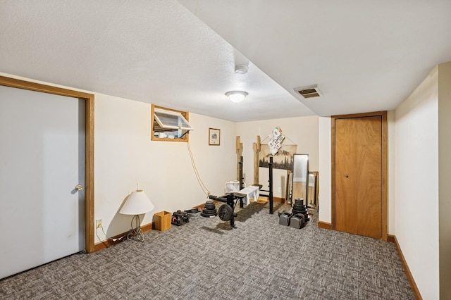 9372 71st St NE, Spicer, MN 56288 - exercise room featuring carpet floors and a textured ceiling