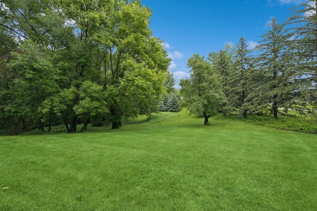 9372 71st St NE, Spicer, MN 56288 - view of grassy yard