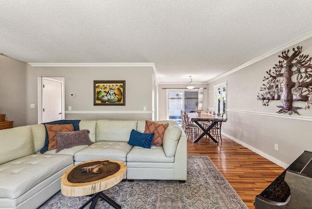 4128 Zane Ave N, Robbinsdale, MN 55422 - living area featuring wood finished floors, crown molding, and a textured ceiling