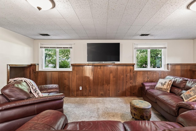 4128 Zane Ave N, Robbinsdale, MN 55422 - living area featuring a wainscoted wall, wood walls, and carpet flooring