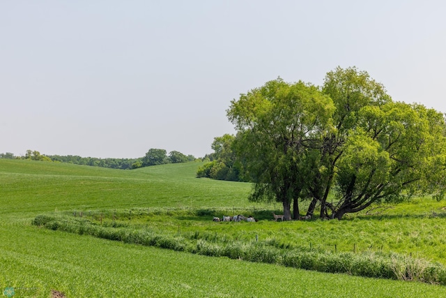 TBD 410 Street, Rosebud Twp, MN 56542