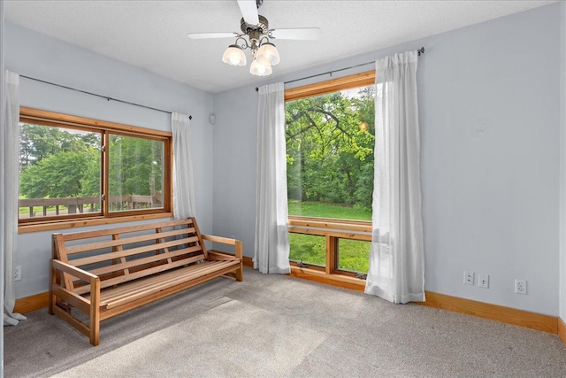 2224 75th Ave Unit M, Osceola, WI 54020 - living area featuring plenty of natural light, carpet, and a ceiling fan