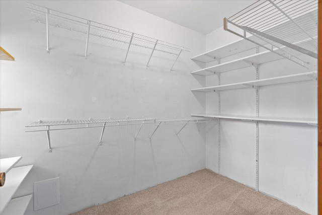 2224 75th Ave Unit M, Osceola, WI 54020 - walk in closet with carpet floors