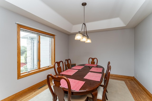 4354 48th St NE, Haverhill Twp, MN 55906 - dining room featuring a raised ceiling and light wood finished floors