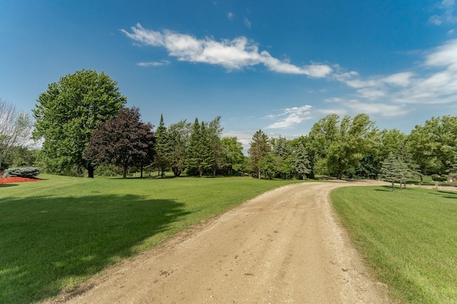 4354 48th St NE, Haverhill Twp, MN 55906 - view of dirt / gravel road