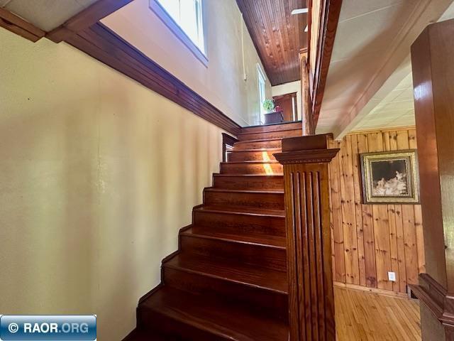 9096 Wiseman Rd, Tower, MN 55790 - photo 22