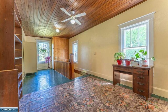 9096 Wiseman Rd, Tower, MN 55790 - photo 23