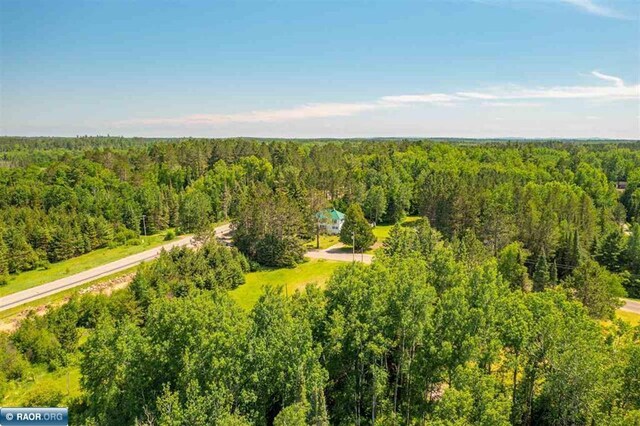 9096 Wiseman Rd, Tower, MN 55790 - photo 35