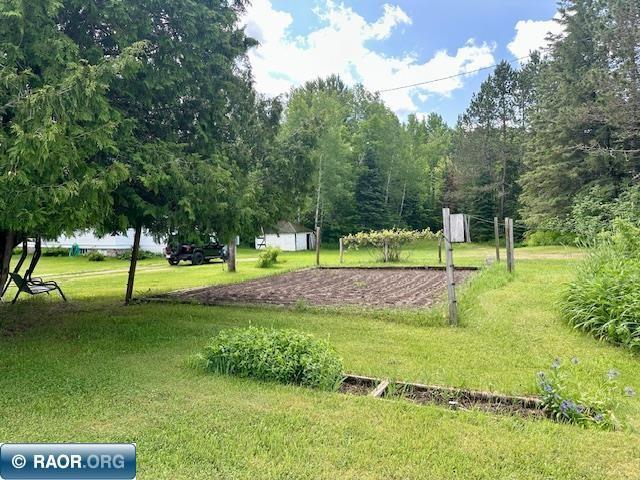 9096 Wiseman Rd, Tower, MN 55790 - photo 45