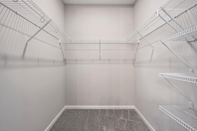 1682 Tyrone Dr, Shakopee, MN 55379 - walk in closet featuring carpet floors