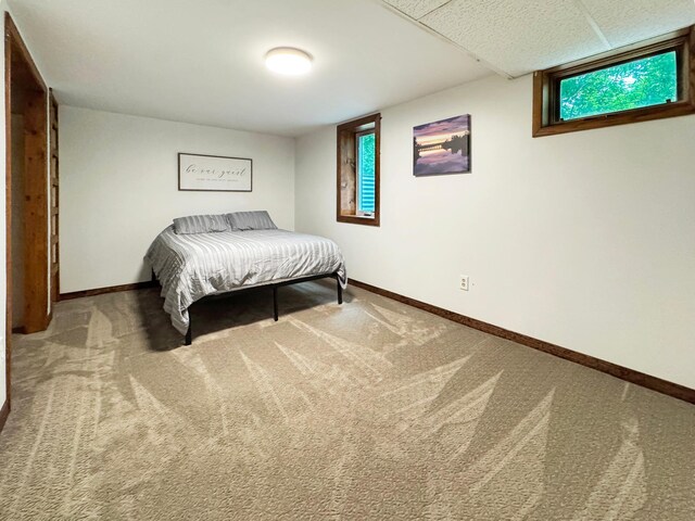 6020 Shady Ln NE, Bemidji, MN 56601 - photo 19