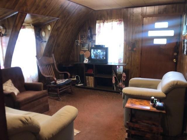 604 Elliott Ave N, Glencoe, MN 55336 - carpeted living area featuring wood walls and lofted ceiling