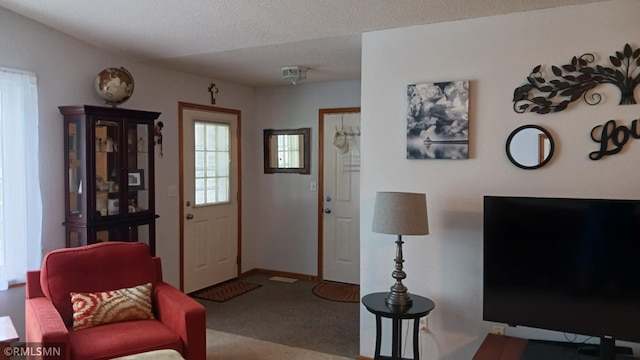 10933 57th St NE, Albertville, MN 55301 - living area featuring carpet floors and baseboards