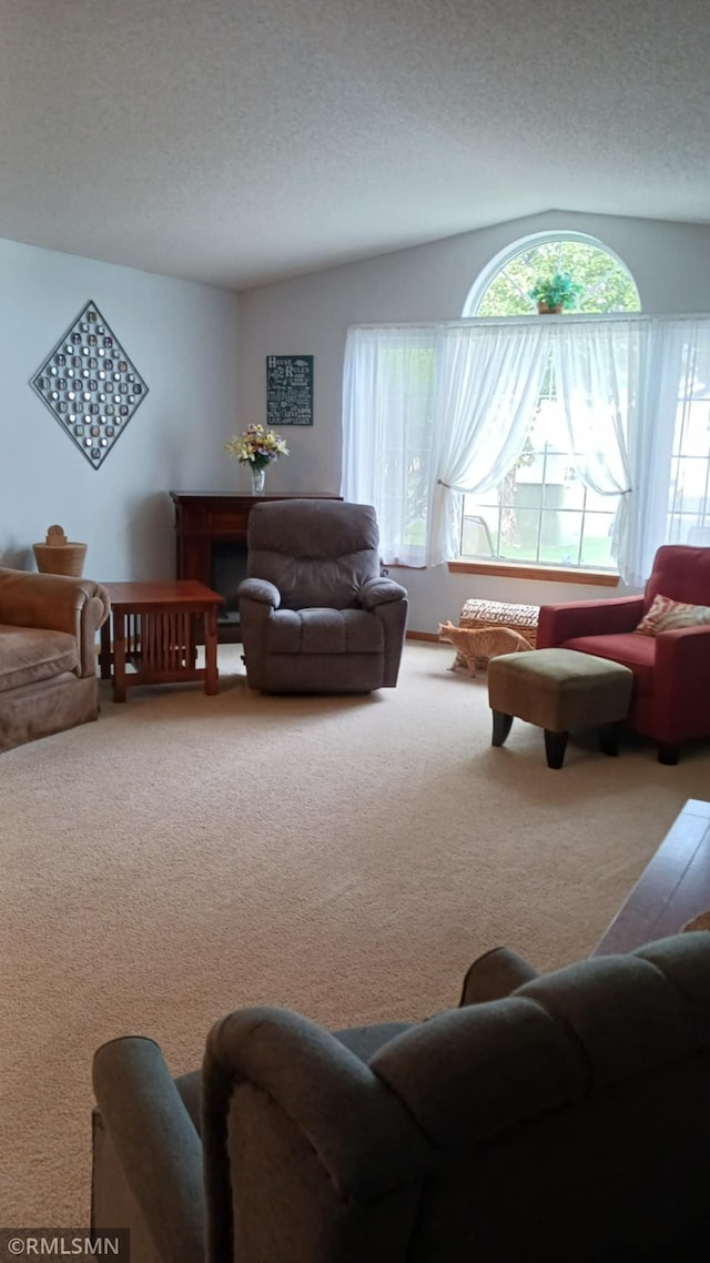 10933 57th St NE, Albertville, MN 55301 - carpeted living room featuring a textured ceiling