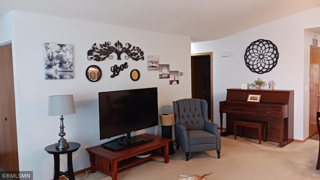 10933 57th St NE, Albertville, MN 55301 - living area featuring carpet and baseboards