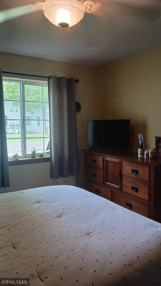 10933 57th St NE, Albertville, MN 55301 - view of bedroom