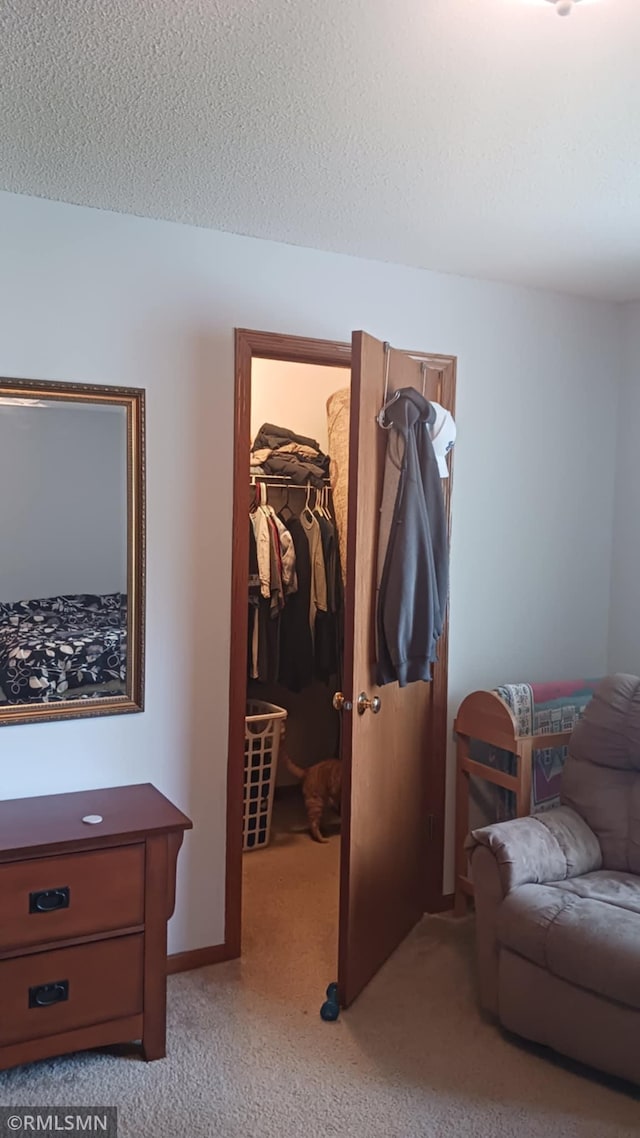 10933 57th St NE, Albertville, MN 55301 - bedroom with a spacious closet, light colored carpet, and a closet